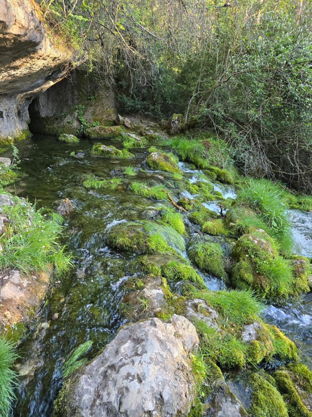 Rural Alto Tajo Poveda